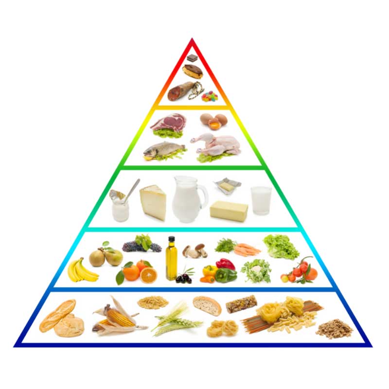 piramida pravilne ishrane