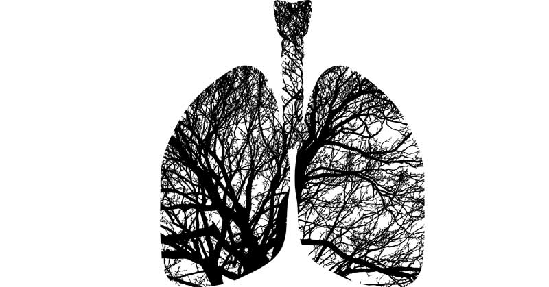 obloge za pluća