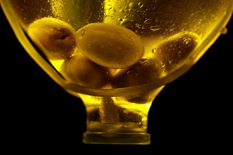 maslinovo ulje protiv podočnjaka