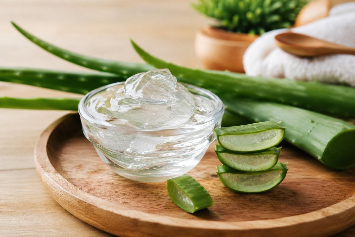Aloe vera za kosu: 5 Najboljih naina da je koristite!